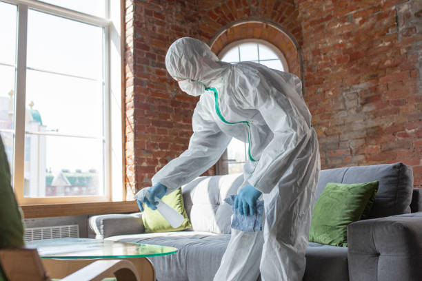 Why You Should Choose Our Mold Remediation Services in Country Knolls, NY